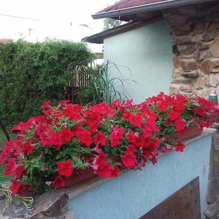 Apartmany Na Hline Trebon Exterior photo