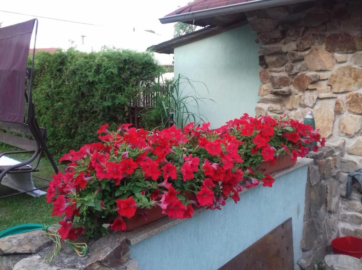 Apartmany Na Hline Trebon Exterior photo