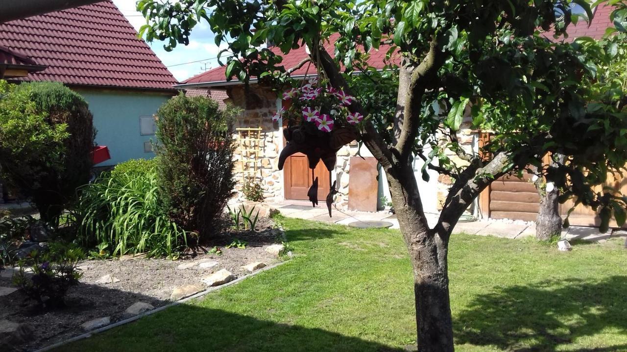 Apartmany Na Hline Trebon Exterior photo
